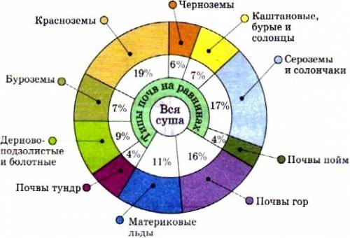 От каких компонентов зависит образование почвы?