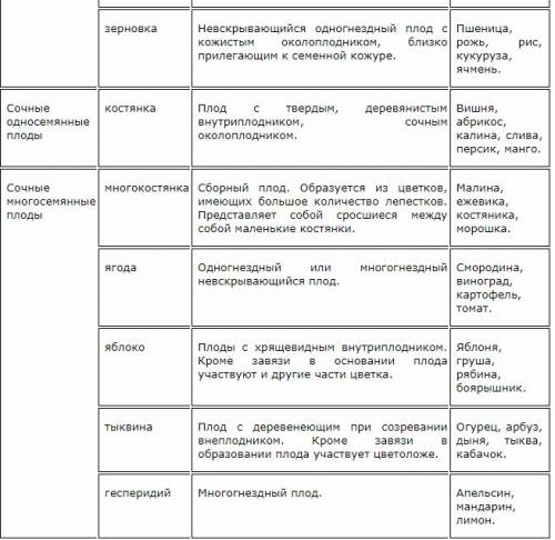 Типы плодов названия плодов примеры