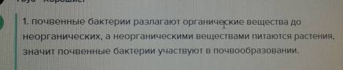 Какое значение у бактерии почвенные?