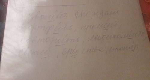 Уменя проблема с : с можете ? укажите слово с ударением на первом, втором, третьем, четвёртом слоге.