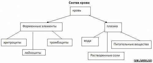 Составьте схему: «кровь и ее строение». для составления схемы используйте слова: плазма, вода, минер