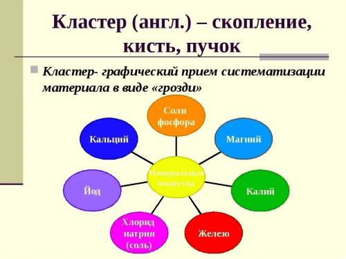 Кластеры - это: 1) сеть пластид в клетке 2) сеть диктиосом 3) сеть митохондрий в клетке 4) разветвле