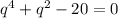 q^4+q^2-20=0