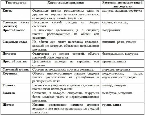 Заполните таблицу соцветия вид |особ. строения |название