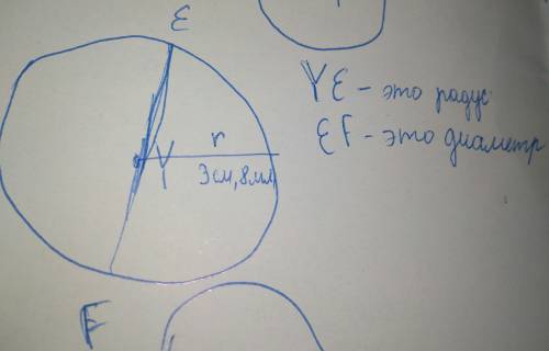 1. нарисуйте окружность с центром в точке y и радиусом 3 см 8 мм. нарисуйте отрезок ef так, чтобы он