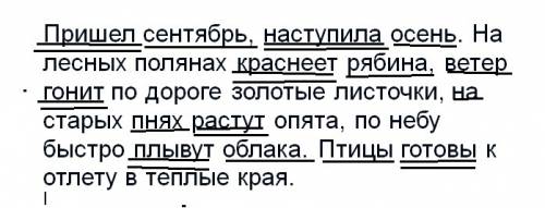 Пришел сентябрь, наступила осень. на лесных полянах краснеет рябина, ветер гонит по дороге золотые л