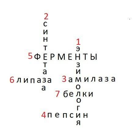 Составить кроссворд с ключевыми словами “ферменты” или “пищеварение”.