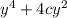 {y}^{4} + 4c {y}^{2}