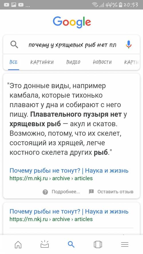 Почему нет плавательного пузыря у хрящевых рыб