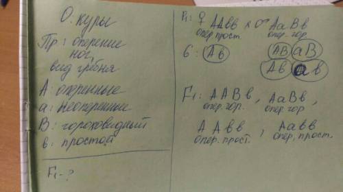 Укур оперенные ноги и гороховидный гребень-доминантные признаки,а отсутствие опепения и простой греб