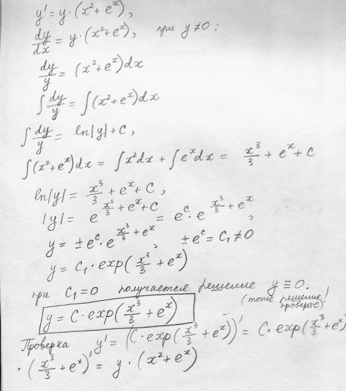 Решите дифференциальное уравнение первого порядка с разделяющимися переменными: y1=y * (x2+ex) . икс