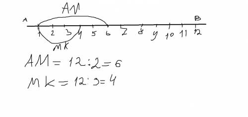 Построй отрезок ab=12см.на нём отметь отрезок: а)am=1/2 ab b)мк=1/3 аb