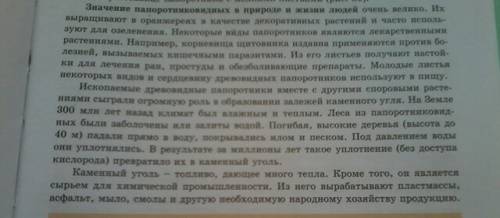 Роль папоротников в жизни человека и в природе