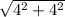 \sqrt{ 4^{2} + 4^{2} &#10;