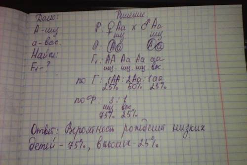 Учеловека низкий рост доминирует над высоким. родители низкого роста и генозиготны по этому признаку