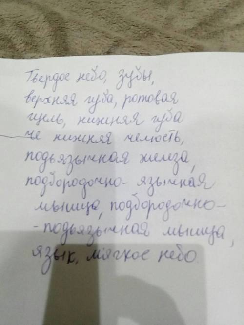 Какие органы находятся в ротовой полости?