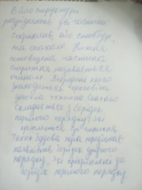 Яку будову має пір'я? які функції виконують покриви птахів?