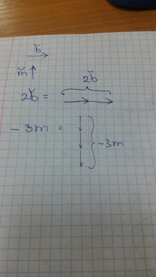 Даны 2 неколлениарных вектора m ⃗ и b ⃗, постройте векторы: 2b ⃗-3m ⃗;