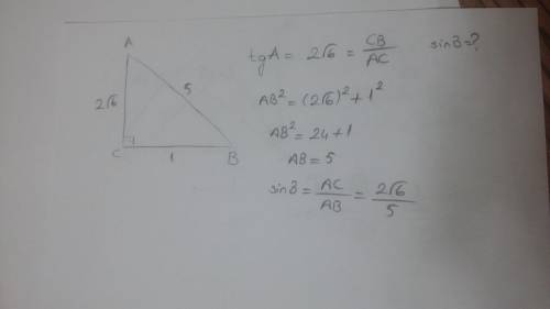 Втреугольнике авс угол с равен 90°,tga=2√6. найдите sin b