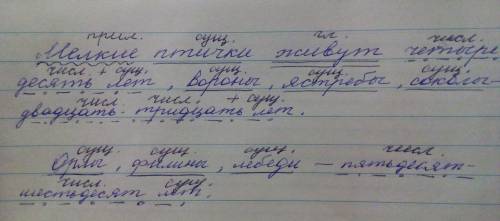 100 ! синтаксический разбор предложений. мелкие птички живут четыре-десять лет, вороны, ястребы, сок