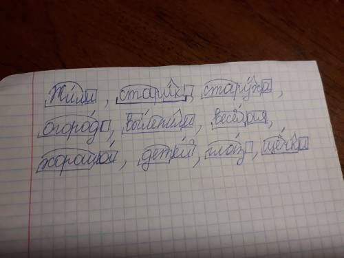 Обозначь словах ударение . подчеркни орфограммы. жили, старик, старуха, огород, вылепили, веселая, х