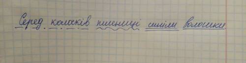 Серед колоскiв пшеницi синiли волошки.волошки -це присудок,пiдмет,другорядний член речення