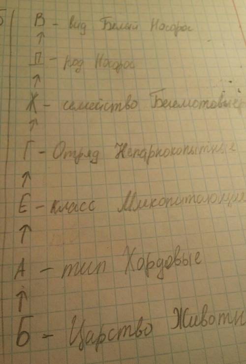 7. расположите единицы классификации в правильном порядке, начиная с наименьшей: а. тип хордовые б.