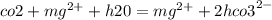 co2 + {mg}^{ 2 + } + h20 = {mg}^{2 + } + 2 {hco3}^{2 - }