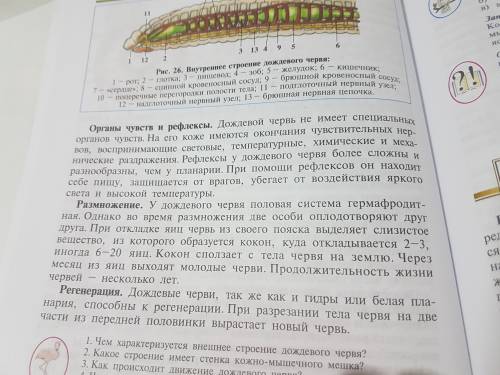 (48 ! ) тип кольчатые черви 1.где встречаются 2.внешнее строение 3.особенности внутренного строения: