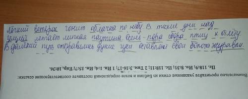 Лёгкий ветерок гонит облачка по небу. в тихие дни над землёй летает липкая паутина. осень-пора сбора