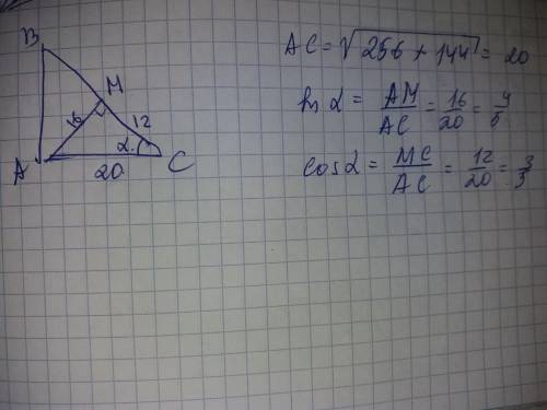 Впрямоугольном треугольнике высота, проведенная к гипотенузе, равна 16 см, а проекция одного из кате