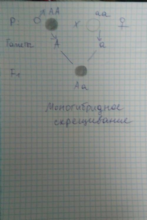 При скрещивании белого и черного кроликов 100% потомков оказались черными. определите генотипы родит