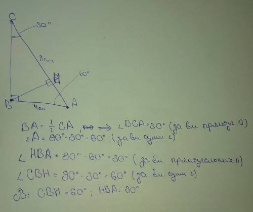 Впрямоугольном треугольнике авс угол в=90, ав=4см, ас=8см. найти углы, которые образует высота вн с