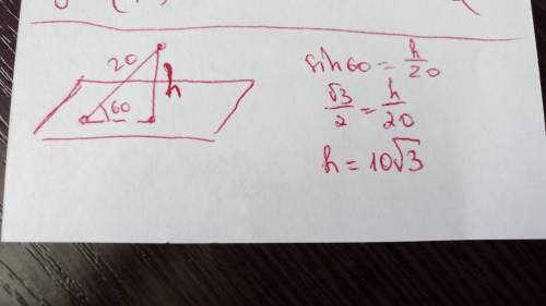 Из точки к плоскости проведены перпендикуляр и наклонная, длина которой 20 см. угол между наклонной