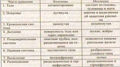 Какие системы органов и органы у моллюсков те же самые, что и у кольчатых червей.