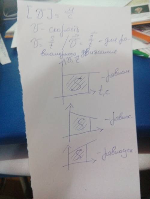 Скорость : обозначение, единица измерения, формула, график зависимости скорости времени.