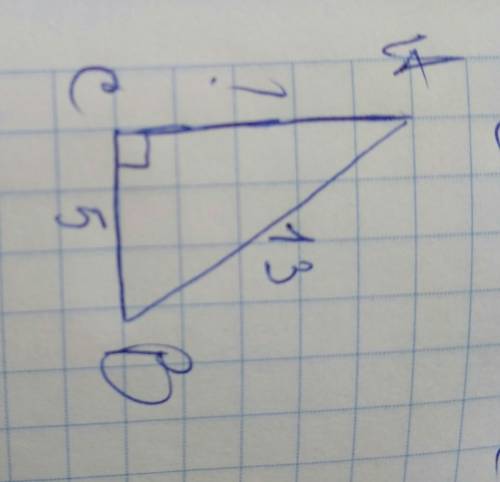 Знайдіть катет прямокутного трикутника, якщо його гіпотнуза дорівнює 13 см, а другий катет 5 см