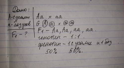 Уземляники наличие усов доминирует над их отсутствием. землянику с усами гетерозиготную скрестили с