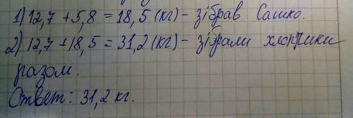 Миколка зiбрав 12,7 кг макулатури, це на 5,8 кг менше, ніж зібрав сашко. скільки кілограмів макулату