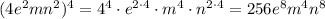 (4e^2mn^2)^4=4^4\cdot e^{2\cdot4}\cdot m^4\cdot n^{2\cdot4}=256e^8m^4n^8