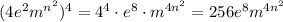 (4e^2m^{n^2})^4=4^4\cdot e^8\cdot m^{4n^2}=256e^8m^{4n^2}