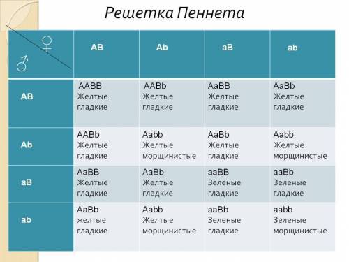 От скрещивания черных лохматых кроликов получено такое потомство: 47 черных лохматых крольчат, 16 че