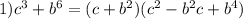 1)c^{3}+b^{6}=(c+b^{2})(c^{2}-b^{2}c+b^{4})