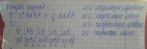 37 . у человека карий цвет глаз доминирует над голубым ,а лучше владеть правой рукой над леворукость