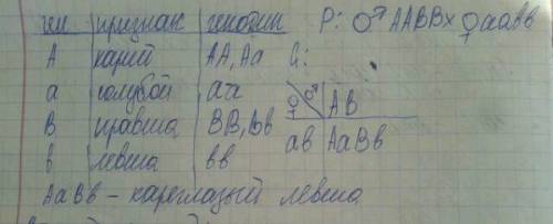 37 . у человека карий цвет глаз доминирует над голубым ,а лучше владеть правой рукой над леворукость