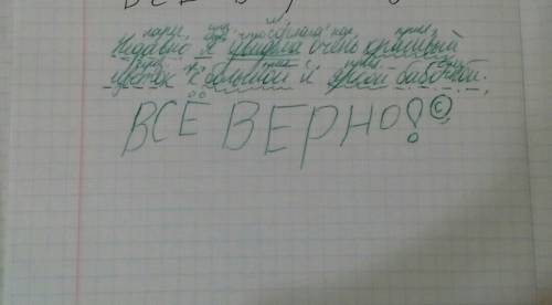 Синтаксическиё разбор предложения: недавно я увидела красивый цветок с большой и яркой бабочкой