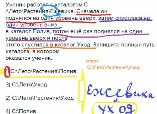 4. ученик работал с катало- поднялся гом c: iлетоlрастения ежевика. сначала он на один уровень вверх