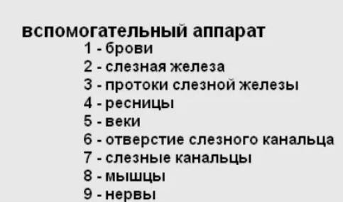 Выберите из списка аппарат глаза: a веки б зрачок b слезные железы г стекловидное тело д роговица e