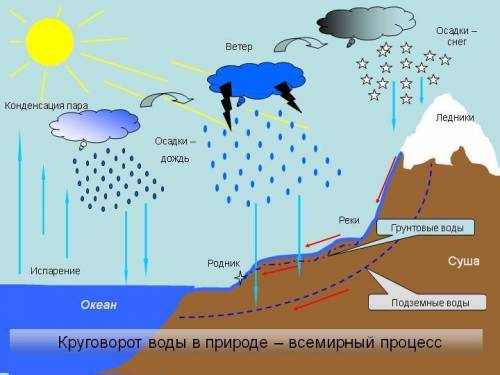 Составьте схему путишествия капои воды в биосфере