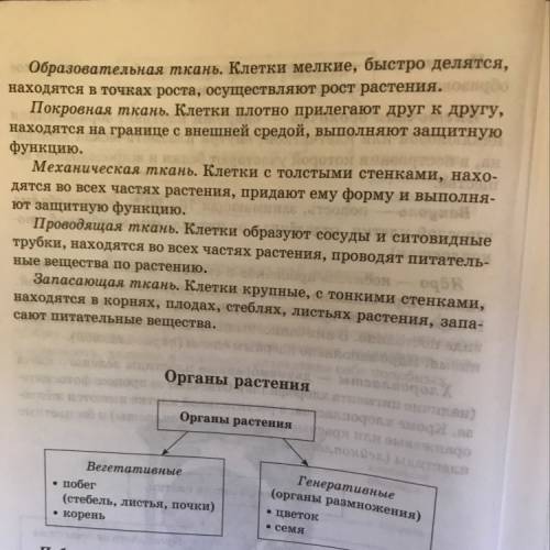 Билеты по биологии за курс основной школы билет№1 1 бактерии,роль бактерий в природе.значение бактер